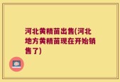 河北黄精苗出售(河北地方黄精苗现在开始销售了)