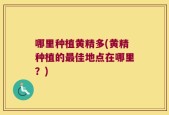 哪里种植黄精多(黄精种植的最佳地点在哪里？)