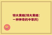 特大黄精(特大黄精：一种神奇的中草药)
