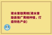 建水普雄黄精(建水普雄县推广黄精种植，打造特色产业)