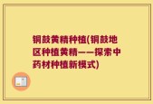 铜鼓黄精种植(铜鼓地区种植黄精——探索中药材种植新模式)