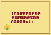 什么品种黄精生长最快(黄精的生长速度最快的品种是什么？)