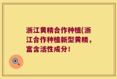 浙江黄精合作种植(浙江合作种植新型黄精，富含活性成分！