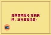 莲藕黄精图片(莲藕黄精：滋补美容佳品)
