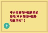 宁乡哪里有种植黄精的基地(宁乡黄精种植基地在何处？)