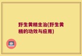 野生黄精主治(野生黄精的功效与应用)