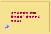 徐州黄精种植(徐州“黄精娃娃”种植助力农民增收)