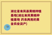 湖北省来凤县黄精种植基地(湖北来凤黄精种植基地 药食两用的黄金农业资产)