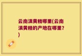云南滇黄精哪里(云南滇黄精的产地在哪里？)