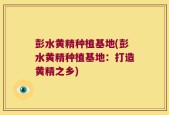 彭水黄精种植基地(彭水黄精种植基地：打造黄精之乡)