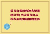 武当山黄精和神农架黄精区别(比较武当山与神农架的黄精植物差异)