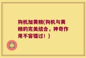 狗机加黄精(狗机与黄精的完美结合，神奇作用不容错过！)