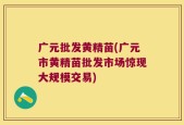 广元批发黄精苗(广元市黄精苗批发市场惊现大规模交易)