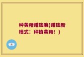 种黄精赚钱嘛(赚钱新模式：种植黄精！)