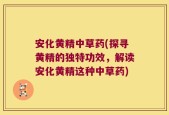 安化黄精中草药(探寻黄精的独特功效，解读安化黄精这种中草药)