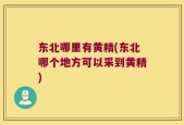 东北哪里有黄精(东北哪个地方可以采到黄精)