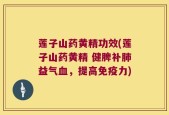 莲子山药黄精功效(莲子山药黄精 健脾补肺益气血，提高免疫力)