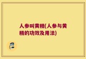 人参叫黄精(人参与黄精的功效及用法)