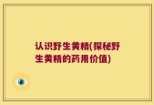认识野生黄精(探秘野生黄精的药用价值)