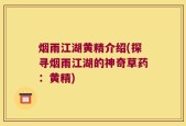 烟雨江湖黄精介绍(探寻烟雨江湖的神奇草药：黄精)