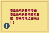 秦皇岛鸡头黄精种植(秦皇岛鸡头黄精蓬勃发展，带来可观经济效益！)