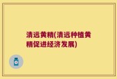 清远黄精(清远种植黄精促进经济发展)