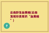 云南野生血黄精(云南发现珍贵草药“血黄精”)
