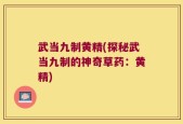 武当九制黄精(探秘武当九制的神奇草药：黄精)