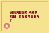 成熟黄精图片(成熟黄精图，感受黄精生命力!)