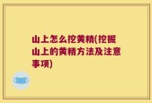山上怎么挖黄精(挖掘山上的黄精方法及注意事项)
