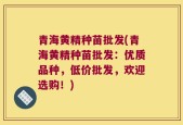 青海黄精种苗批发(青海黄精种苗批发：优质品种，低价批发，欢迎选购！)