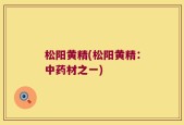松阳黄精(松阳黄精：中药材之一)