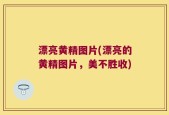 漂亮黄精图片(漂亮的黄精图片，美不胜收)