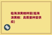临海滇黄精种苗(临海滇黄精：高质量种苗供应)