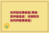 如何栽培黄精苗(黄精苗种植指南：详细教你如何种植黄精苗)