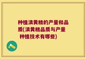 种植滇黄精的产量和品质(滇黄精品质与产量 种植技术有哪些)