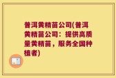 普洱黄精苗公司(普洱黄精苗公司：提供高质量黄精苗，服务全国种植者)