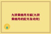 九转黄精丹方解(九转黄精丹的配方及功效)