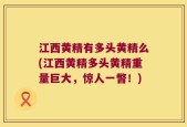 江西黄精有多头黄精么(江西黄精多头黄精重量巨大，惊人一瞥！)