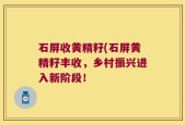 石屏收黄精籽(石屏黄精籽丰收，乡村振兴进入新阶段！