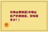 石嘴山黄精苗(石嘴山出产的黄精苗，你知道多少？)