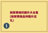 新鲜黄精的图片大全集(新鲜黄精品种图片巡礼)