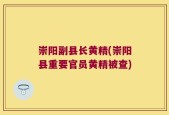 崇阳副县长黄精(崇阳县重要官员黄精被查)
