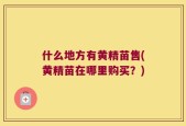 什么地方有黄精苗售(黄精苗在哪里购买？)