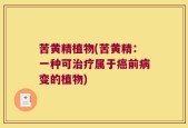 苦黄精植物(苦黄精：一种可治疗属于癌前病变的植物)