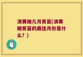 滇黄精几月育苗(滇黄精育苗的最佳月份是什么？)