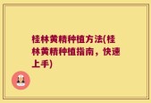 桂林黄精种植方法(桂林黄精种植指南，快速上手)