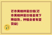 芒市黄精种苗价格(芒市黄精种苗价格呈现下降趋势，种植业者有望获益)