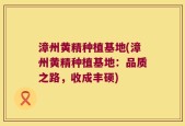 漳州黄精种植基地(漳州黄精种植基地：品质之路，收成丰硕)