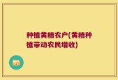 种植黄精农户(黄精种植带动农民增收)